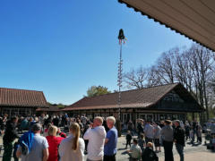 Maibaum